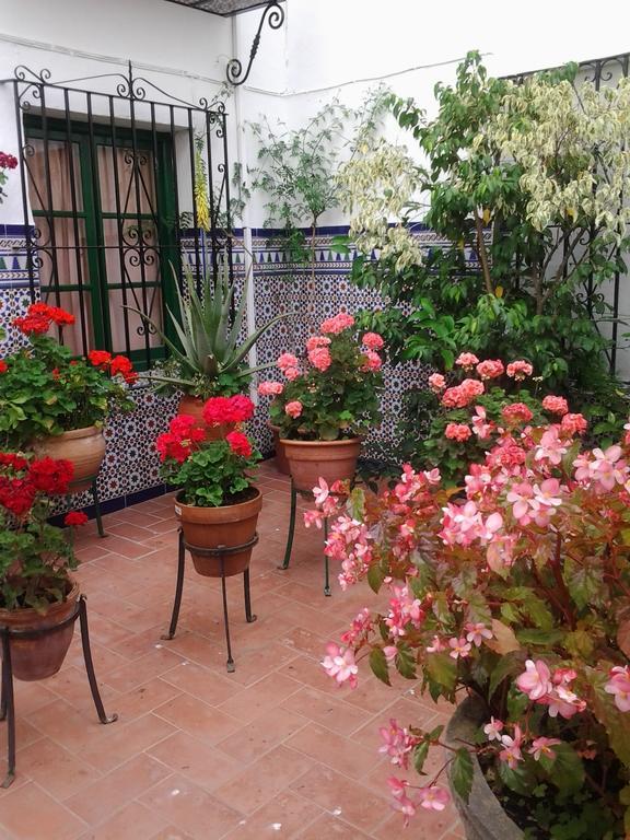 Hostal Enriqueta Marbella Luaran gambar
