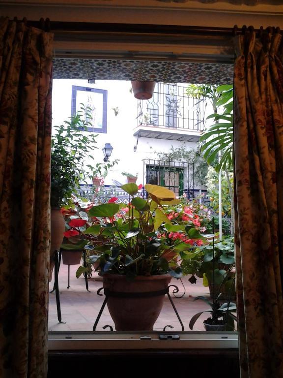 Hostal Enriqueta Marbella Luaran gambar